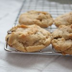 CC-Cookies-11