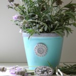Blue-Herb-Pot-1