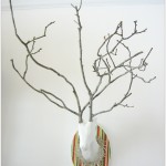 Retro-Branch-Buck