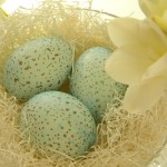 Speckled-Eggs-2