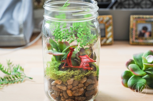thumbnail image 2 of DIY Mason Jar Terrarium Kit - Complete Starter Set For Succulents & Air Plants 2 of 13