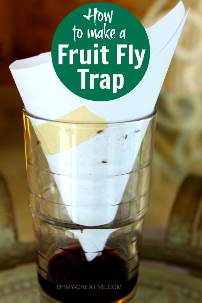 A quick and easy way to make a Fruit Fly Trap | OHMY-CREATIVE.COM