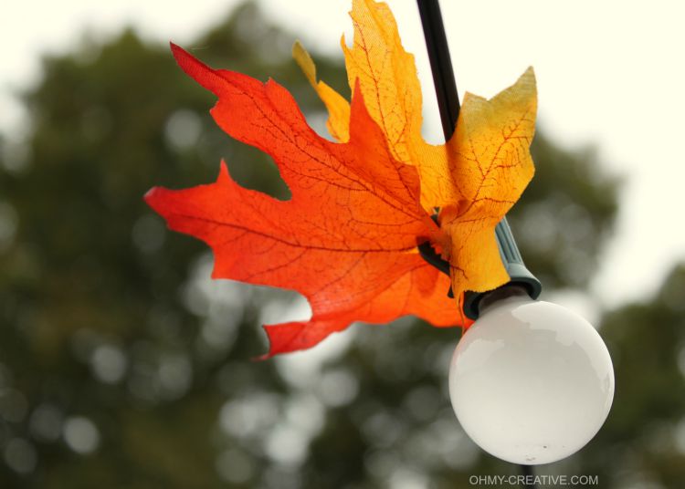 Close up of Fall leaves added to the outdoor lighting. So simple and transforms the space for any fall entertaining, bonfires or Octoberfest festivities! Autumn Leaf Patio Lighting 