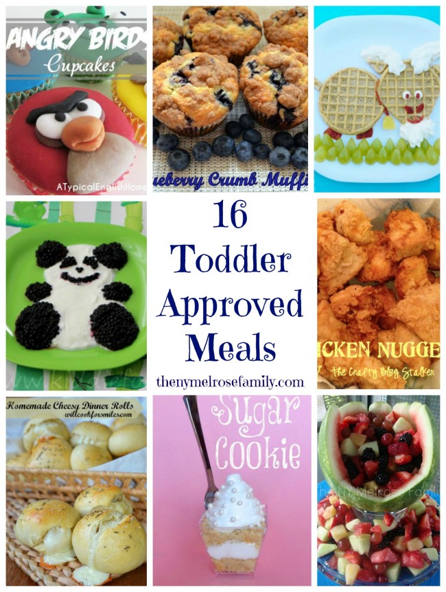 16-toddler-approved-meals