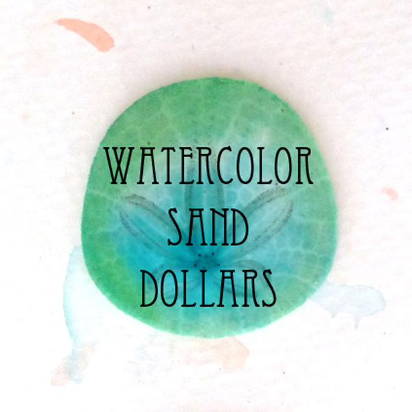 Watercolor Sand Dollars
