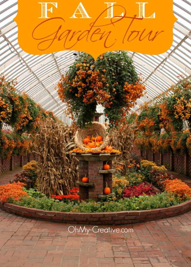 Pumpkin Cornucopia Garden - OhMy-Creative.com