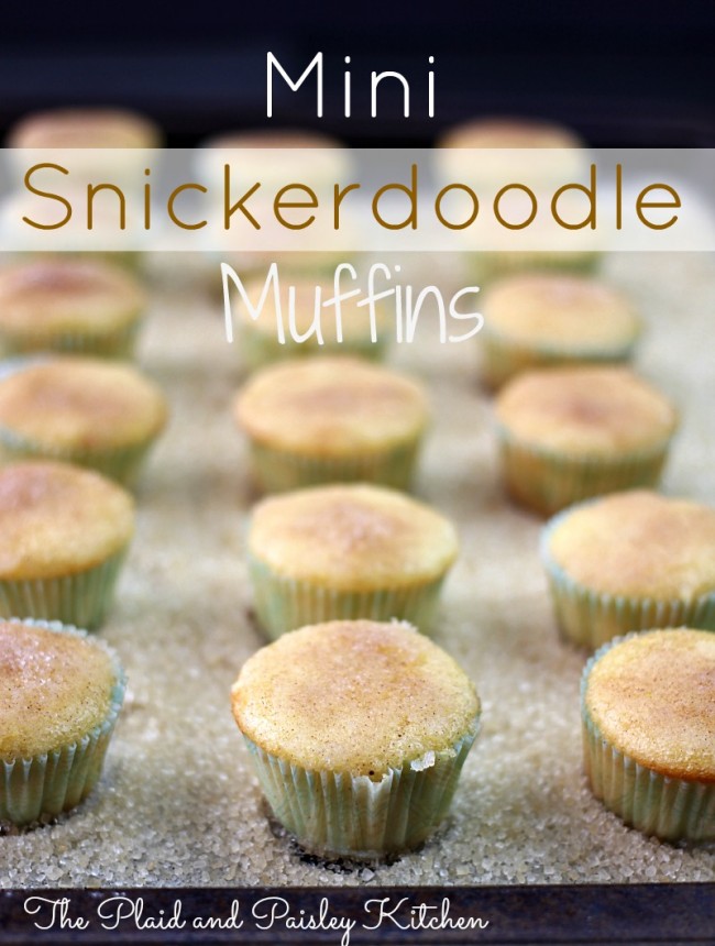 Mini-Snickerdoodle-Muffins-The-Plaid-and-Paisley-Kitchen