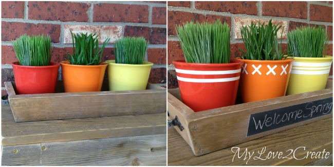 DIY Tapered Tray and Dollar Store Pots dressed up with contact paper