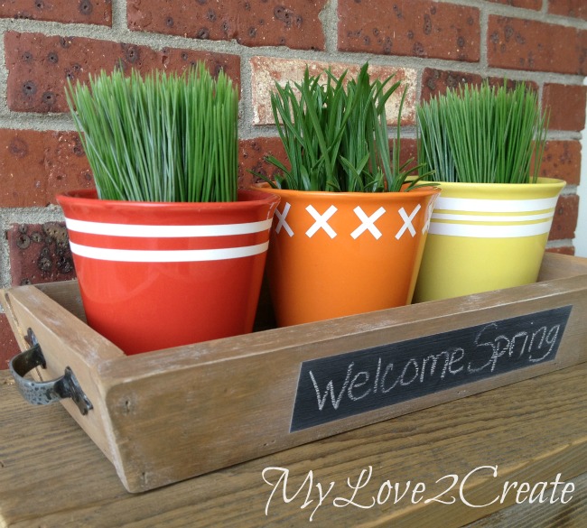 DIY Tapered Tray and Dollar Store Pots dressed up with contact paper