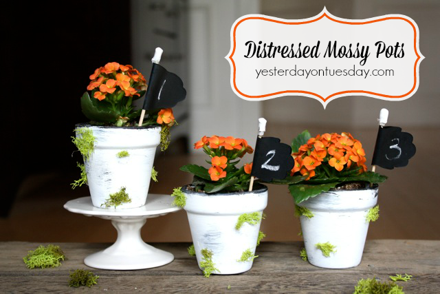 Distressed-Mossy-Pots