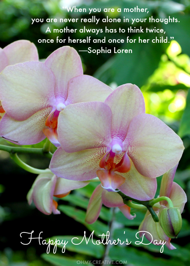 HAPPY MOTHER'S DAY QUOTE |  OHMY-CREATIVE.COM