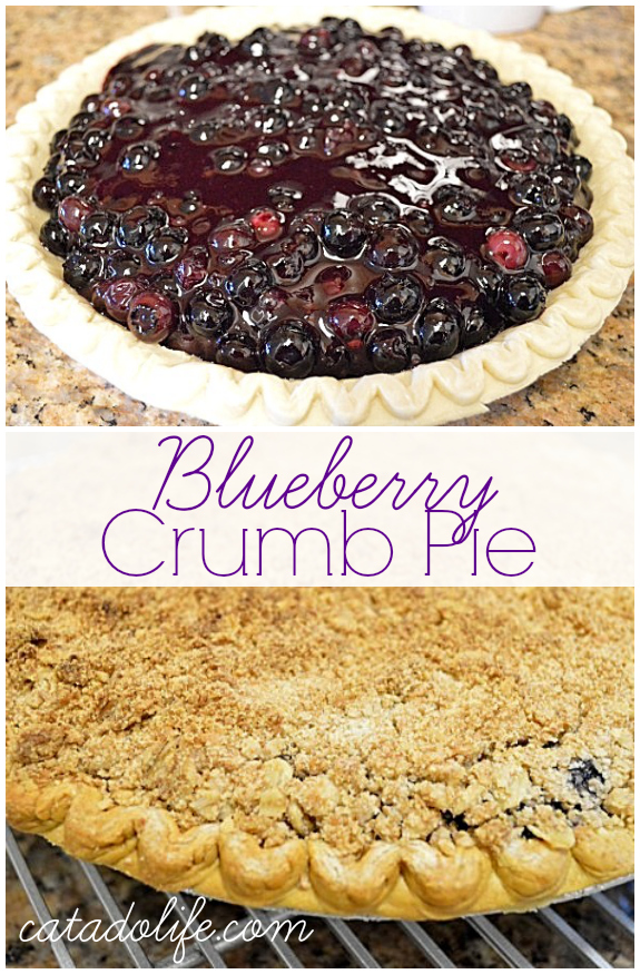 Blueberry-Crumb-Pie