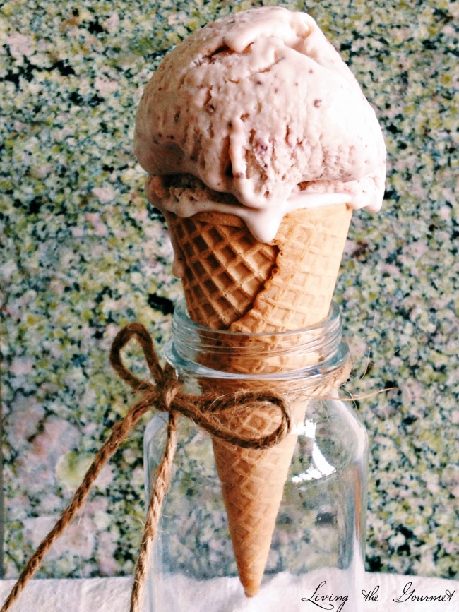 Strawberry & Chocolate Ice Cream {No-Churn}