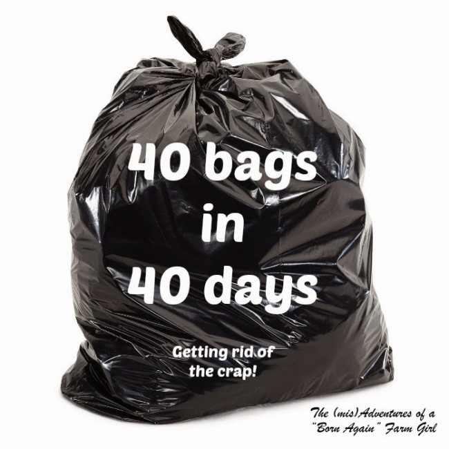 40 Bags in 40 Days - Getting Rid of the Crap