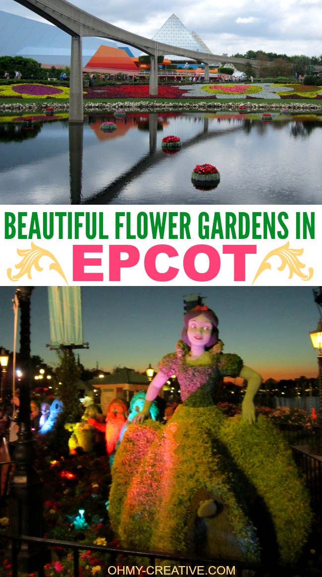 These Beautiful Flower Gardens In Epcot are on display for the Epcot Flower and Garden Festival each Spring | OHMY-CREATIVE.COM