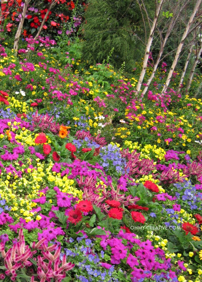 Colorful Flowers Epcot International Flower and Garden Festival  |  OHMY-CREATIVE.COM