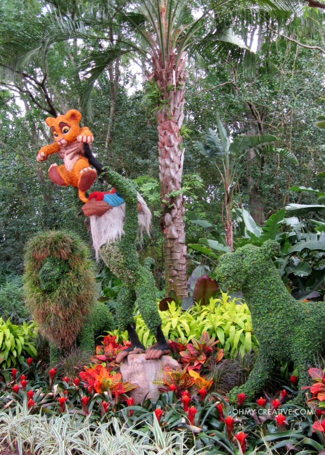 Lion King Topiarie Epcot International Flower and Garden Festival   |  OHMY-CREATIVE.COM
