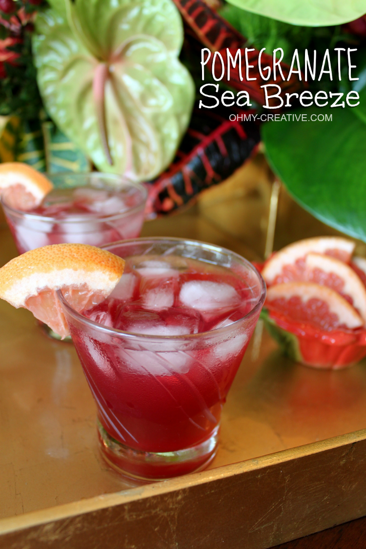Pomegranate Sea Breeze With Summer Party Tips