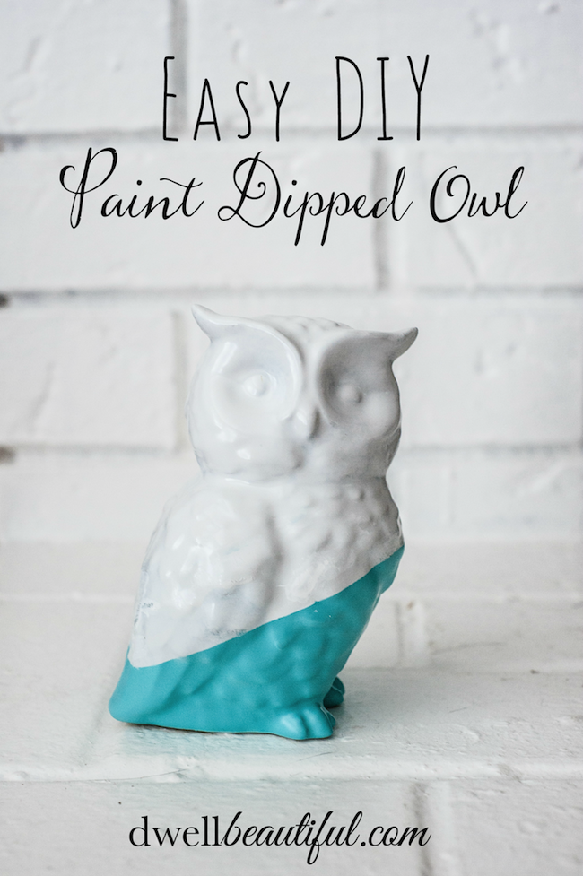 Paint Dipped Owl