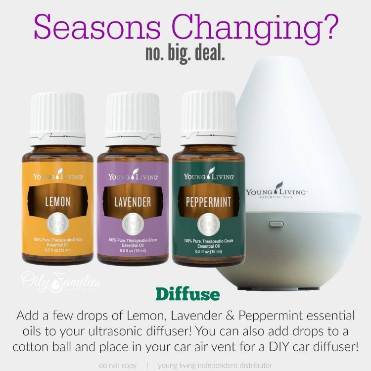 How To Use Essential Oils For Seasonal Challenges and relief! 5 best aromatherapy essential oils that will help soothe airborne irritating particles! | OHMY-CREATIVE.COM