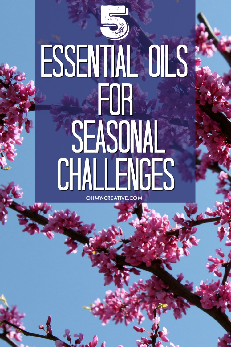 How To Use Essential Oils For Seasonal Challenges and relief! 5 best aromatherapy essential oils that will help soothe airborne irritating particles! | OHMY-CREATIVE.COM