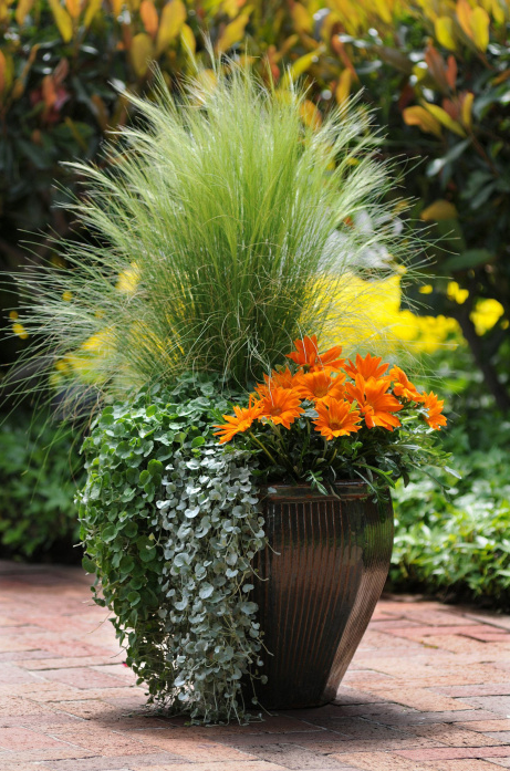 Garden Pot using flowers and grasses | OHMY-CREATIVE.COM