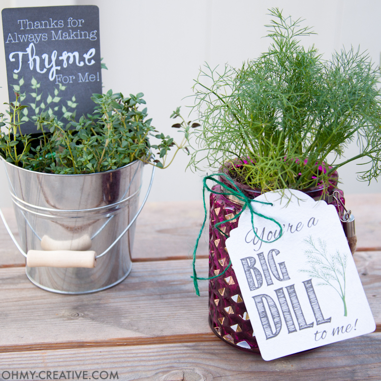 These are the perfect homemade gifts. Make beautiful potted herb DIY gifts with printable tags for Teacher Appreciation gifts or Mother's Day gifts this spring. | OHMY-CREATIVE.COM