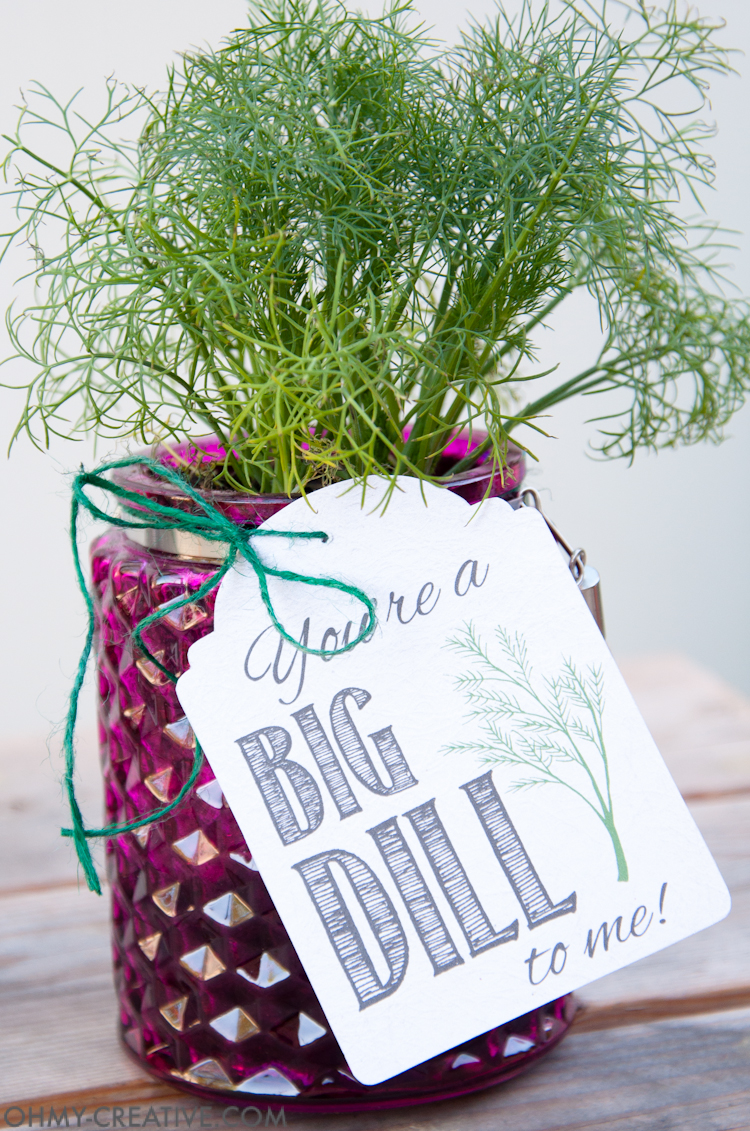 These are the perfect homemade gifts. Make beautiful potted herb DIY gifts with printable tags for Teacher Appreciation gifts or Mother's Day gifts this spring. | OHMY-CREATIVE.COM