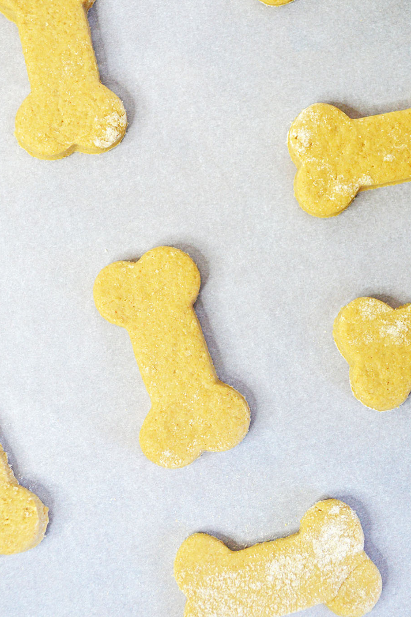 Make our delicious Peanut Butter Dog Treats Recipe as a homemade healthy treat that your dogs will love! OHMY-CREATIVE.COM #dogtreats #dogtreatsrecipe #homemadedogtreats #peanutbutterdogtreats #easydogtreatsrecipe 