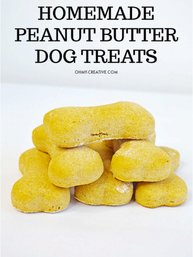 Peanut Butter Dog Treats Recipe Story