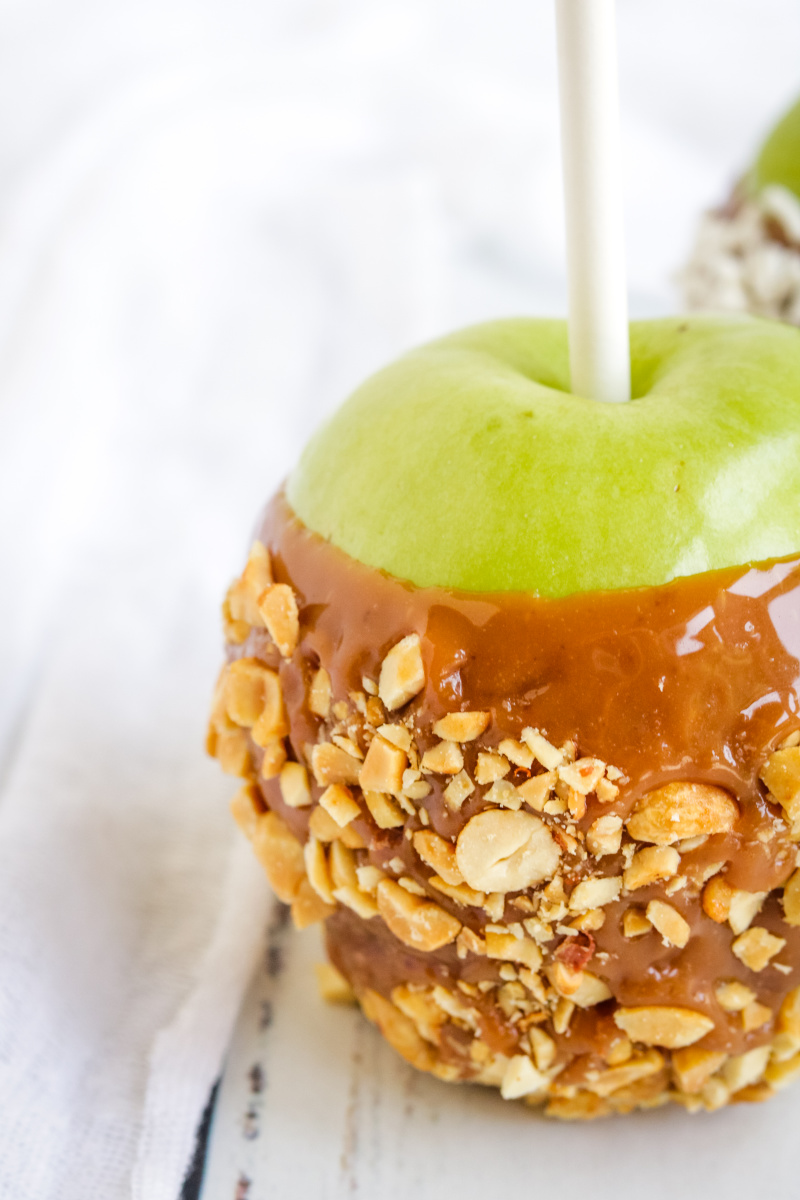 Caramel apple dipped in chopped nuts 