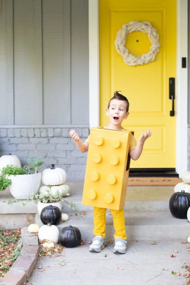 Image for LEGO Costume DIY for Halloween