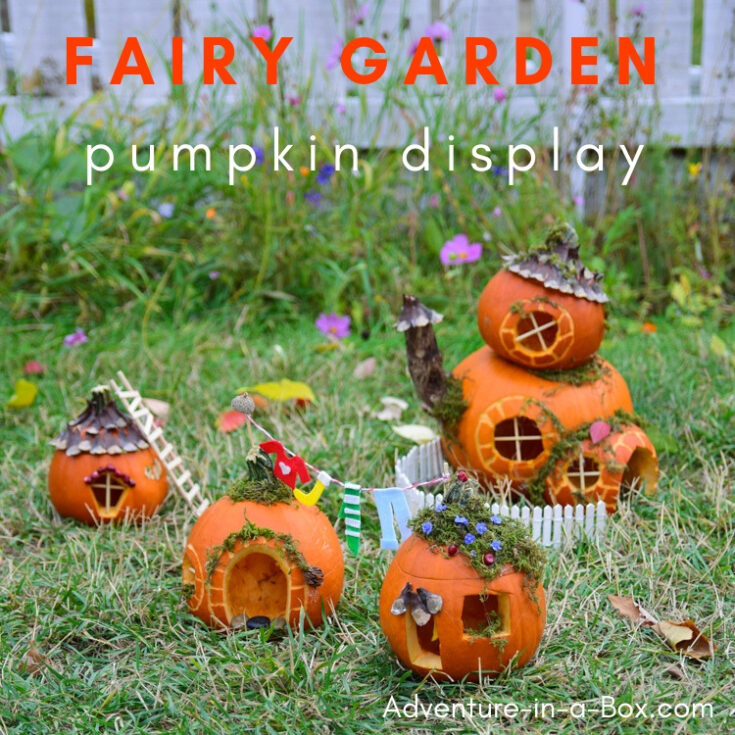 Image for Pumpkin Fairy Garden for Halloween Display