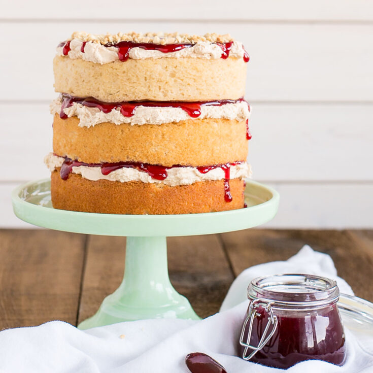 Image for Peanut Butter & Jelly Cake