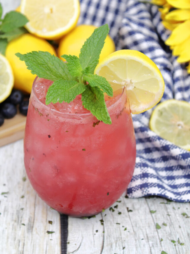 25 Summer Mojito Cocktail Recipes