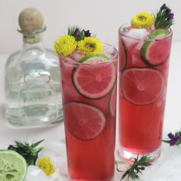 Image for Hibiscus Tequila and Sprite Cocktail (4 Ingredients)