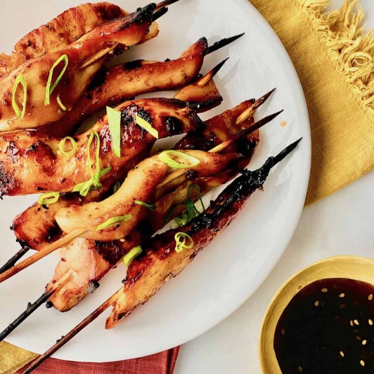 Image for Teriyaki Chicken on a Stick