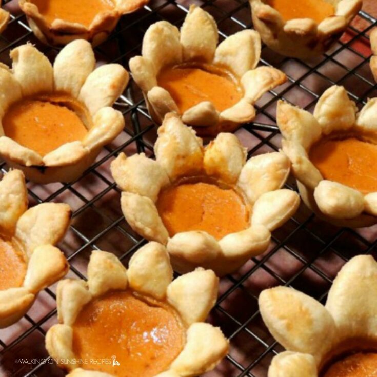 Image for Mini Pumpkin Pie Flowers
