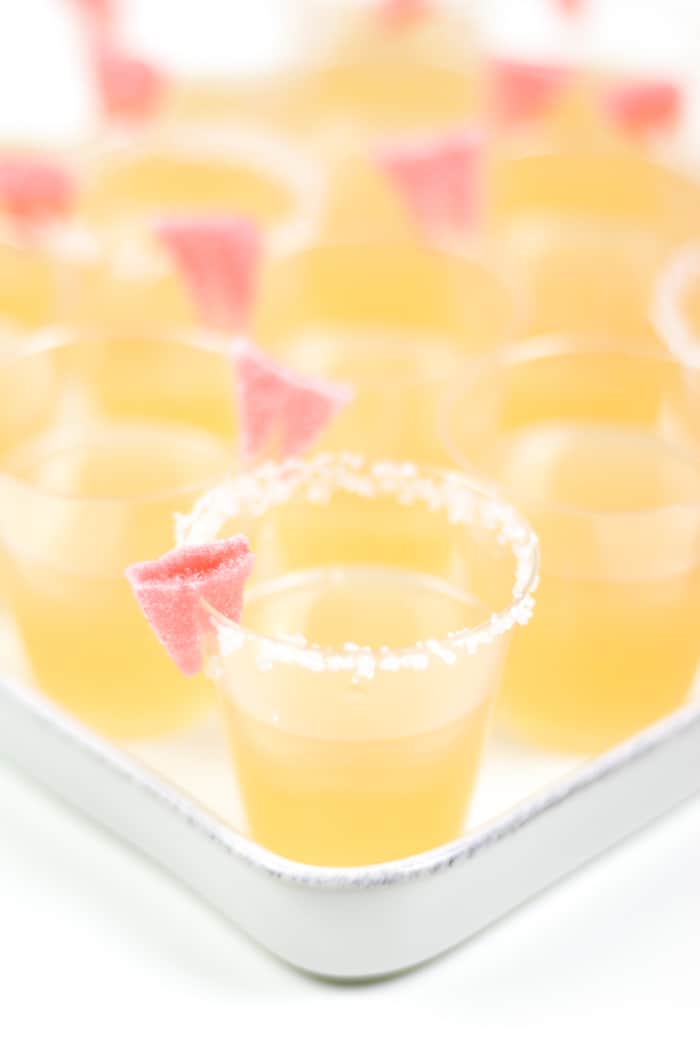 Image for Paloma Jello Shots