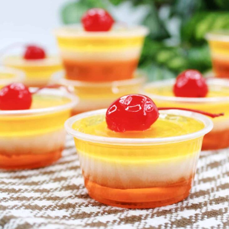 Image for Pina Colada Jello Shot