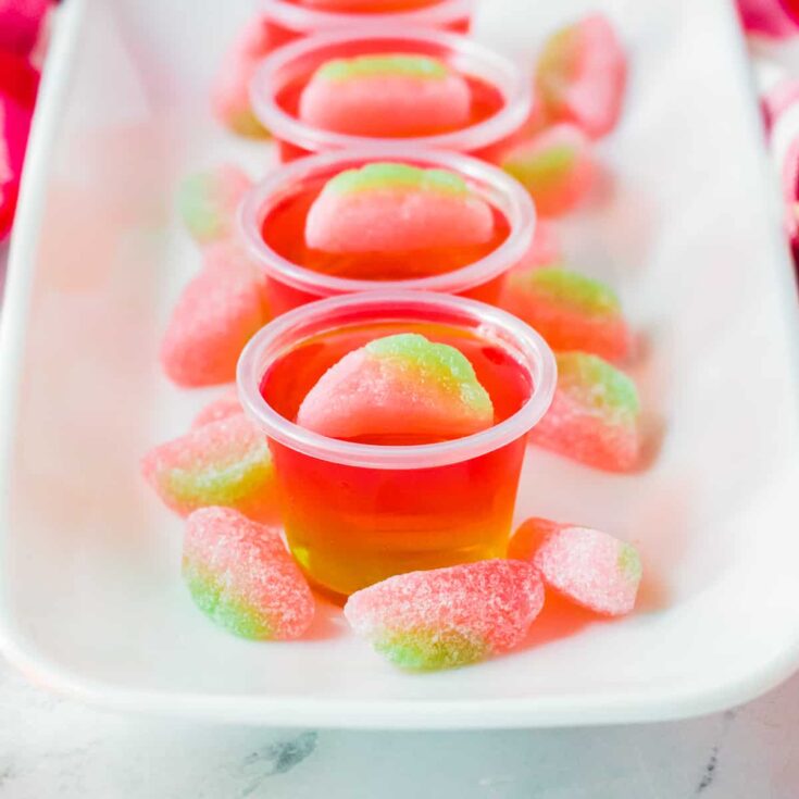 Image for Watermelon Vodka Jello Shots