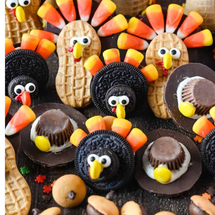 Image for Turkey Cookies (No Baking!)