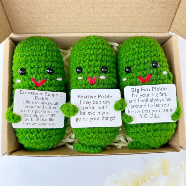 Image for Positive Pickle Crochet Buddy