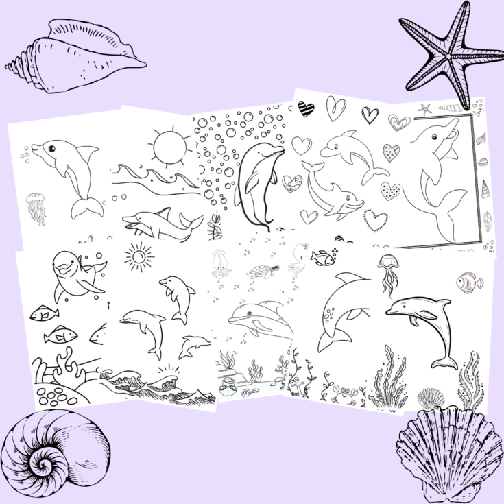 Image for Cute Dolphin Coloring Pages 