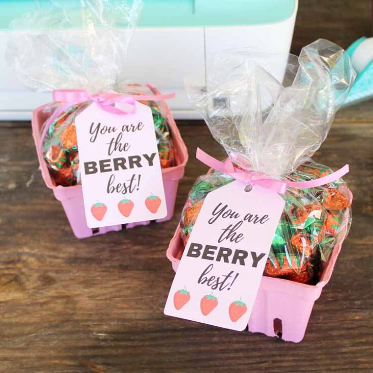 Image for 'The Berry Best!' (Teacher Gift)