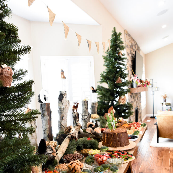 Image for Woodland Party Decoration Ideas