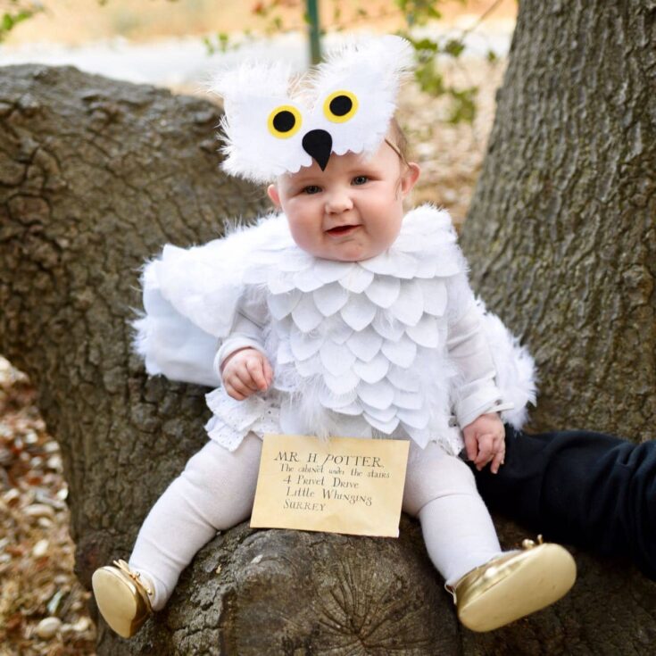 Image for Hedwig Baby Owl Costume DIY {No-Sew}