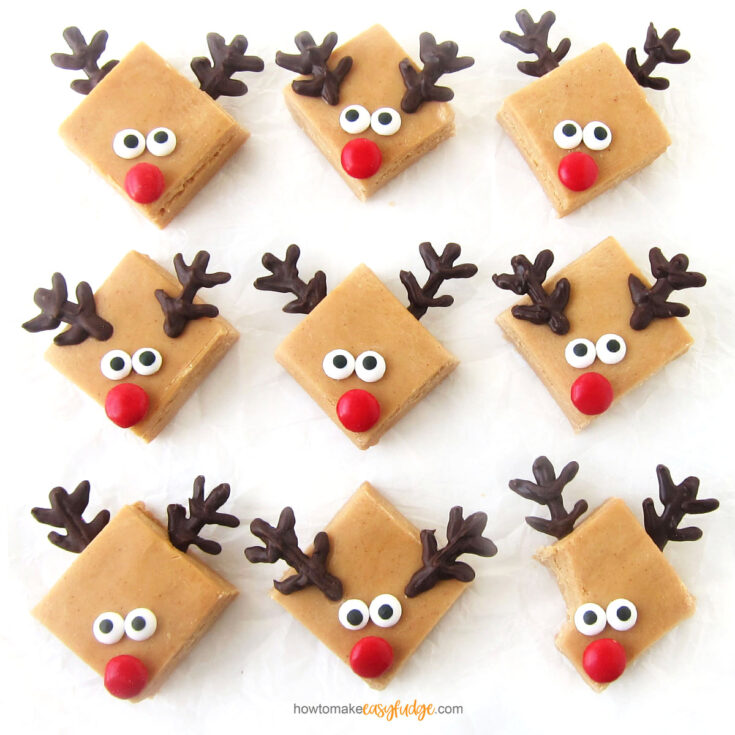 Image for Reindeer Fudge