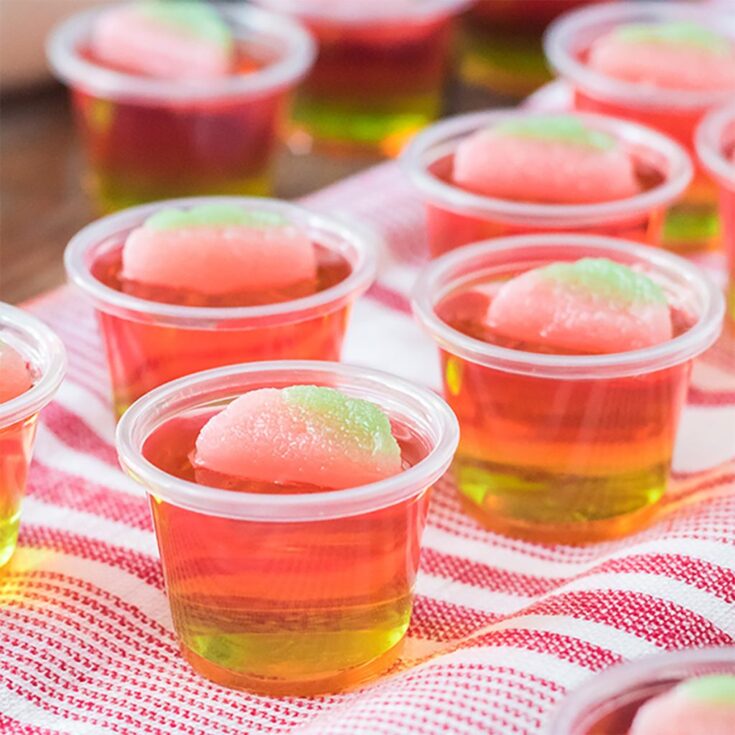 Image for Layered Watermelon Jello Shots
