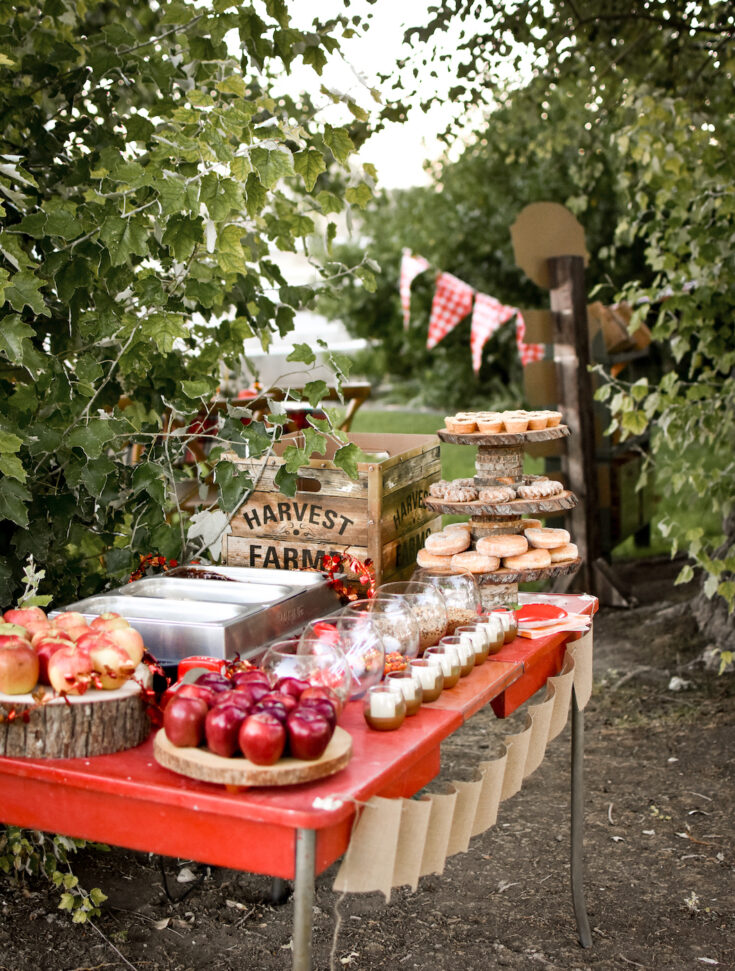 Image for Apple Picking Party